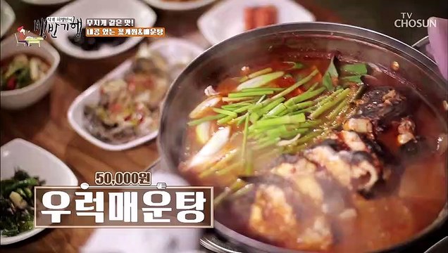 자연산 우럭의 변화 정신 쏙 빼놓는 ♡매운탕♡ TV CHOSUN 20220722방송