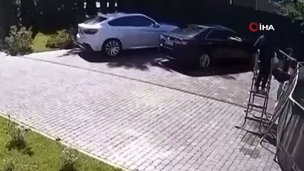 Rusya'da maymun, Ukraynalı kızı yemeye çalıştı! Dehşet anları kamerada