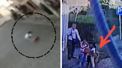 Así fue como delincuentes usaron a una menor para robar la mascota de una familia en Bojacá