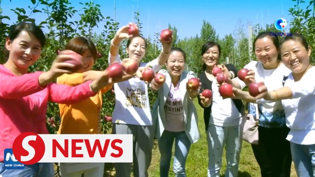 Agricultural industries offer job-seeking college grads in China with broader choices