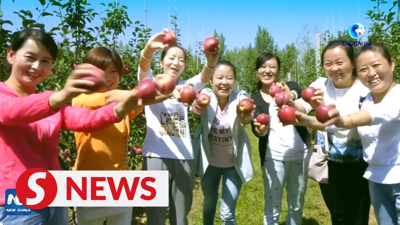 Agricultural industries offer job-seeking college grads in China with broader choices