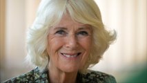 Rassismus-Vorwürfe gegen Herzogin Camilla