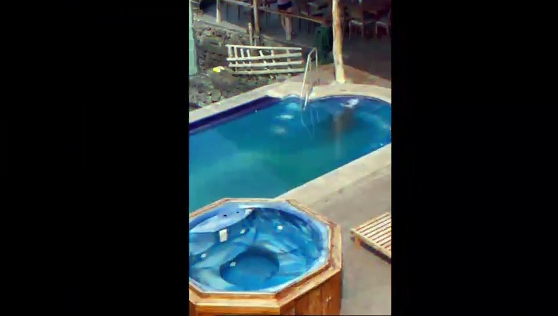 ⁣Animals lover Animals videos