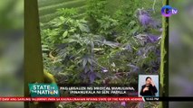 Pag-legalize ng medical marijuana, ipinanukala ni Sen. Padilla | SONA