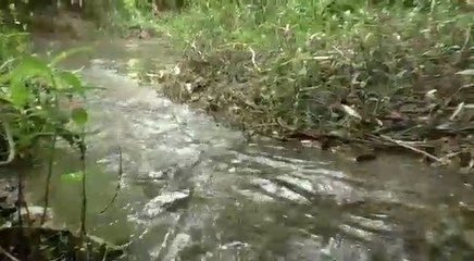 মাটি ফুঁড়ে বেরিয়ে আসছে জলধারা বারবিশা গ্রামে, সংরক্ষণের দাবি গ্রামবাসীর| Oneindia Bengali