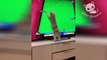 Gatos Graciosos - Videos de Risa de Gatos Chistosos 2022