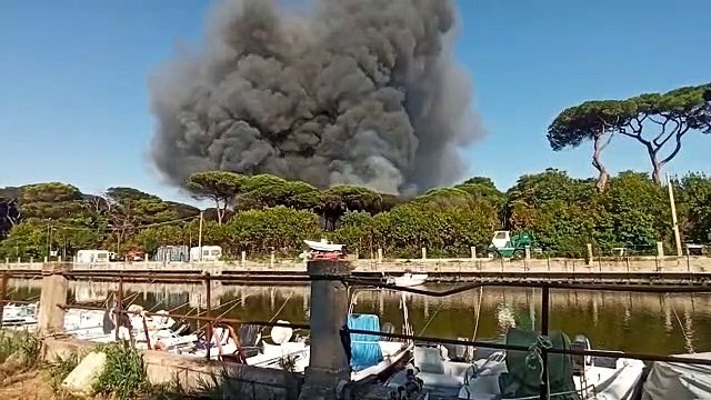 Ostia, incendio in pineta, brucia l'ex campeggio Country Club