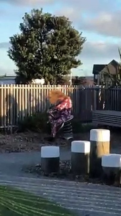 Second-Born Child Gets Wild at Playground