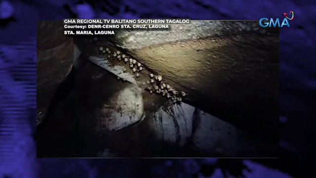 Bagong-tuklas na Pinagdaop Cave sa Sta. Maria, Laguna, bawal pang dayuhin ng mga turista | Saksi