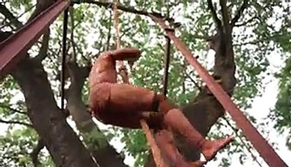 Meet the mud wrestlers keeping an ancient Indian sport alive