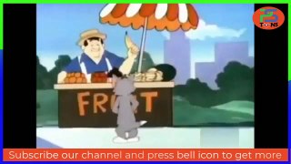 The Tom and Jerry Show Top 10 Episodes Cartoon - Mouse & Cat Fun Joy Entertainment for Everyone