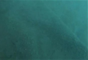 TEKNENİN BATMASIYLA KAYBOLAN 2 KİŞİ, 98 PERSONELLE ARANIYOR