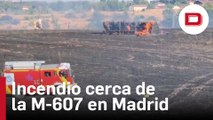 Bomberos esperan controlar pronto el incendio de vegetación de la M-607 (Madrid)