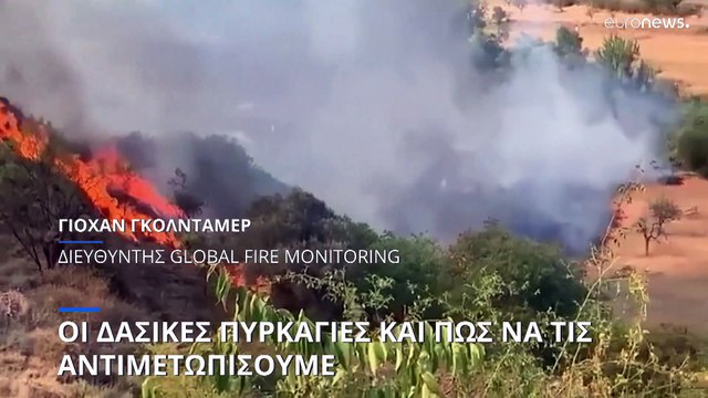 Οι δασικές πυρκαγιές και πως να τις αντιμετωπίσουμε