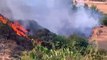 Des forêts délaissées accentuent l'intensité des incendies en Espagne et au Portugal