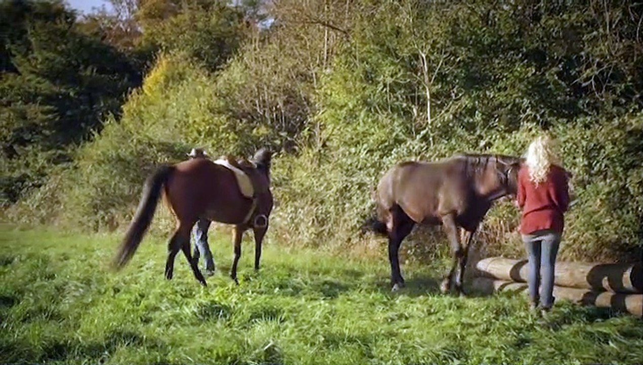 Armans Geheimnis Staffel 1 Folge 8