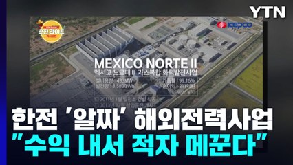 한전 해외전력 사업은 '알짜'..."수익 내 적자 메꾼다" / YTN