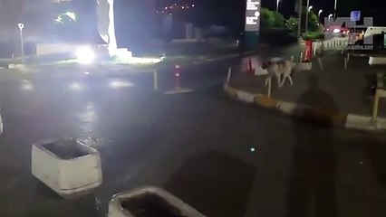 Tehlikeye karşı skandal bahane: Hastane bahçesinde başıboş köpek tehdidi!