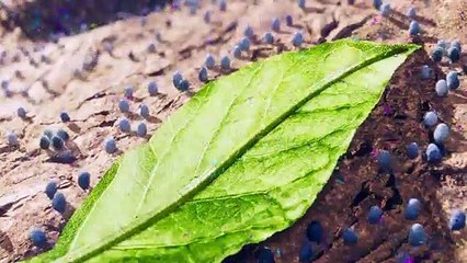 I AM GROOT Official Trailer (2022)