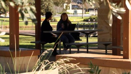 Hundreds of TAFE programs fail to comply with national regulations