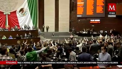 Diputados piden sancionar a responsables del feminicidio de Luz Raquel Padilla