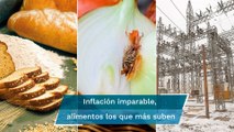 Primera quincena de Julio supera expectativas de inflación, llega a 8.16%