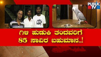 Tumakuru Couple Get Back Their Missing Parrot | Public TV