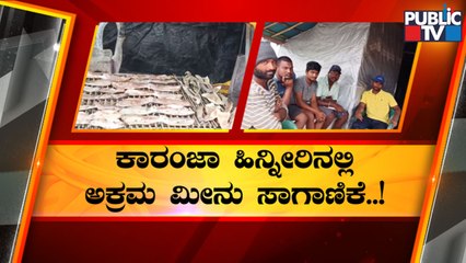 Public TV Sting Operation On Illegal Catfish Farming In Karanja Dam Backwaters | Public TV