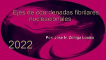 Ejes de coordenadas fibrilares nucleacionales