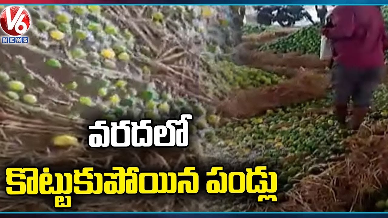 Fruits Washed Away In Flood At Batasingaram Fruit Market | V6 News