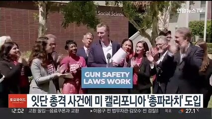 캘리포니아 '총파라치' 도입…불법총기 판매자에 소송 내면 상금