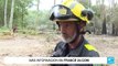 Avanzan labores para contener posibles incendios forestales en Francia