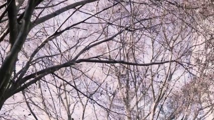 Sifa-Bisma-Prewedding-Instagram-1