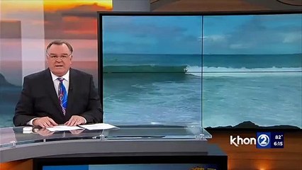 سمكة قرش تفاجئ راكب أمواج في هاواي