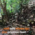 Take A Tour Of Ramlinga Caves And Temple From Kolhapur