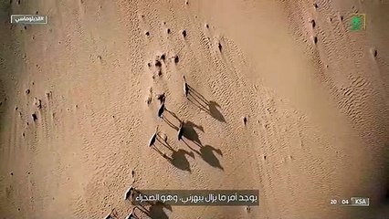 السفيرة البلجيكية: صحراء المملكة مبهرة وتمنح زائريها الشعور بالسلام