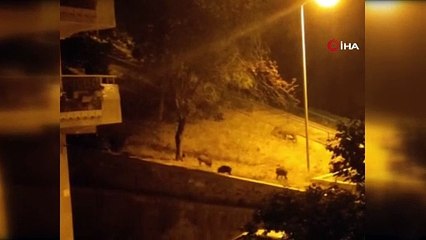 Görüntüler Bursa’dan... İlçe merkezine indiler