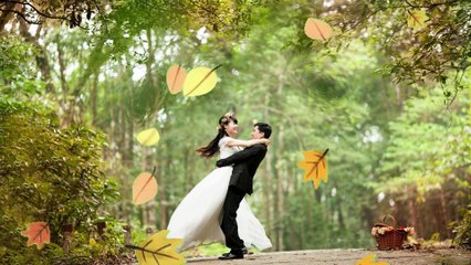 COMPLECATED LOVE LOFI SONGS SLOWED AND REVERB