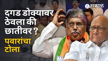 Sharad Pawar on Chandrakant Patil | दगड डोक्यावर ठेवला का छातीवर ठेवला पवारांचा पाटलांना टोला |Sakal