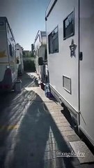 إصابة سنجول إدوين في موقع التصوير بشكل بالغ