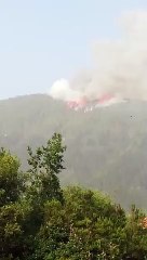 El incendio de Tenerife empeora durante la noche y ya afecta a 2.000 hectáreas