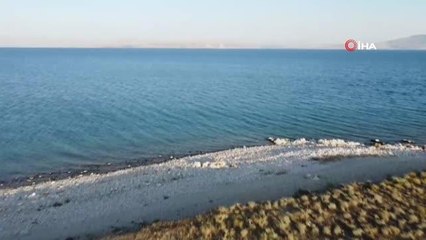 Van Gölü için Bitlis'e kadar yüzdüler