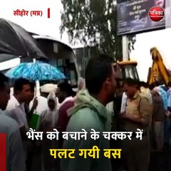 सीहोर (मप्र): भैंस को बचाने के चक्कर में पलट गयी बस