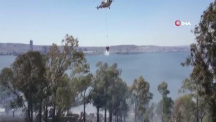 İzmir'de otluk alanda yangın