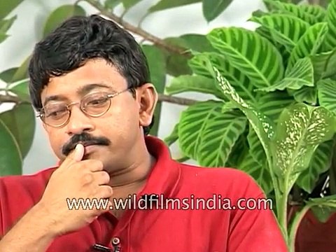 Ram Gopal Varma, Indian filmmaker on Hindi film 'Satya' and the underworld