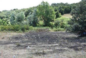Son dakika haberleri! Çıkan anız yangını söndürüldü