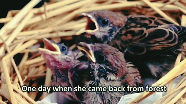 YOU WILL NEVER BE LAZY AFTER WATCHING THIS | Buddhist story on laziness | Motivational Story