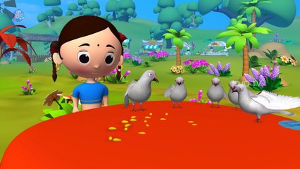 Five Pigeons Hindi Kahaniya | 3D Hindi Moral Stories Kahaniya for Kids JOJO TV