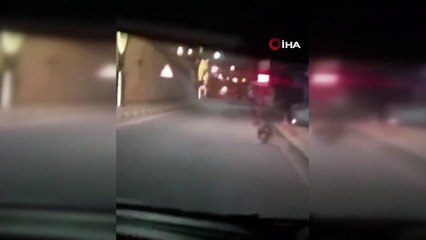 Rize'de panik anları: Birden karşılarında gördüler