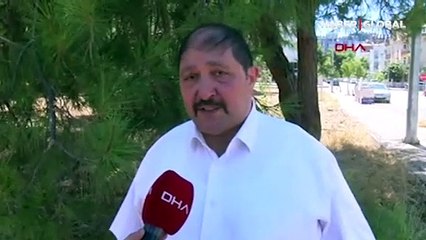 Petshop'lar kasaplar odasına bağlandı, akıllar karıştı: Vatandaş 'kasaplarda kedi köpek mi satılacak?' diye soruyor